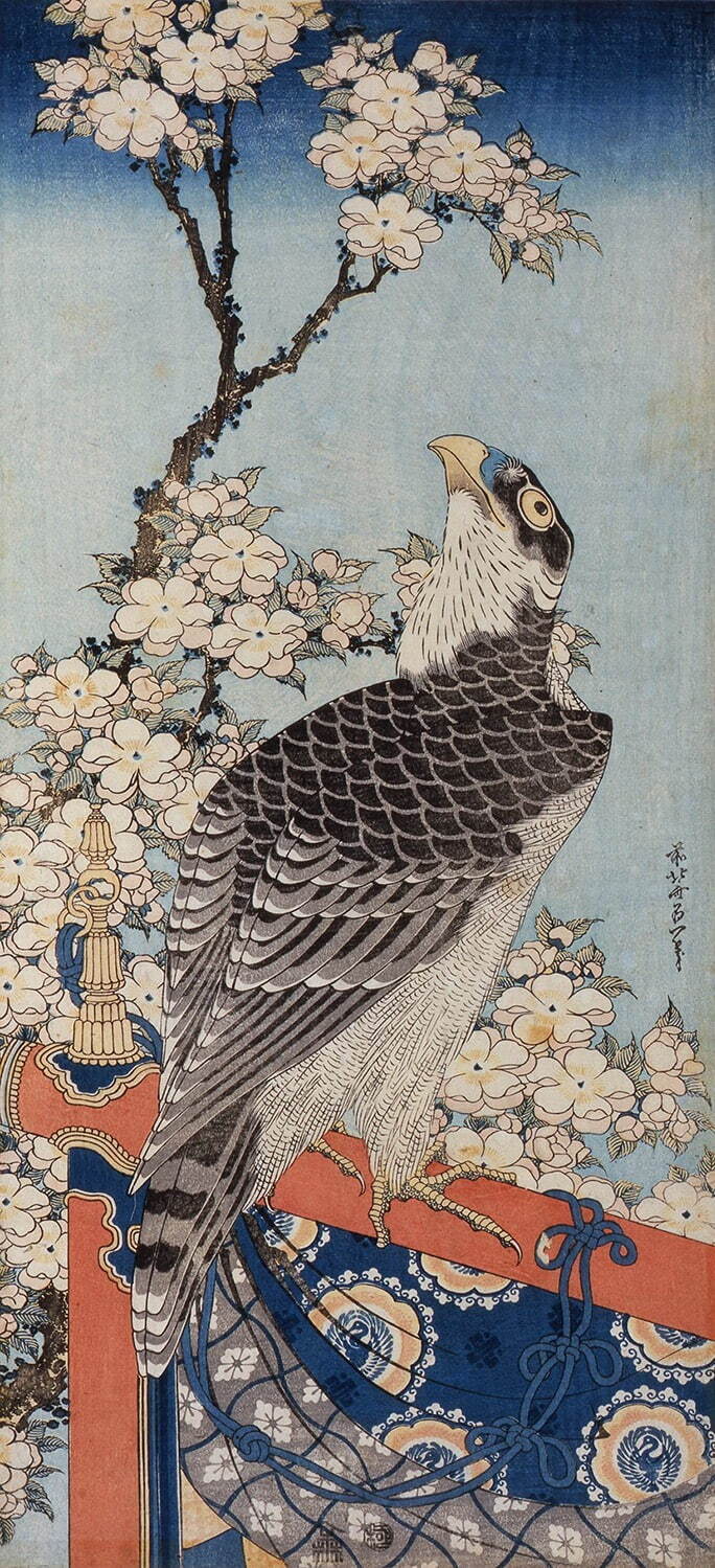 葛飾北斎 《桜に鷹》 すみだ北斎美術館蔵 ［前期展示］