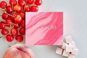 メゾンカカオ春限定「アロマ生チョコレート ブロッサム」“白桃とさくらんぼ”の華やかな味わい