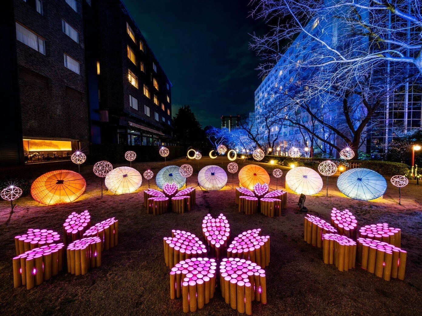 「高輪 桜まつり2025」プリンスホテルの日本庭園で、"夜桜×竹あかり"ライトアップや桜カクテルなど｜写真1