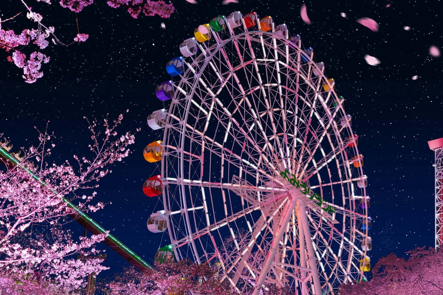夜桜見 夜桜 in 府中公園 | 府中市観光協会 FUN！FAN！FUCHU !!