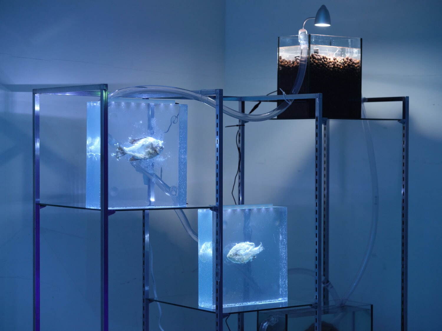 ［参考図版］ 渡辺志桜里 《堆肥国家》 2024年
Photo: Naohiro Ogawa