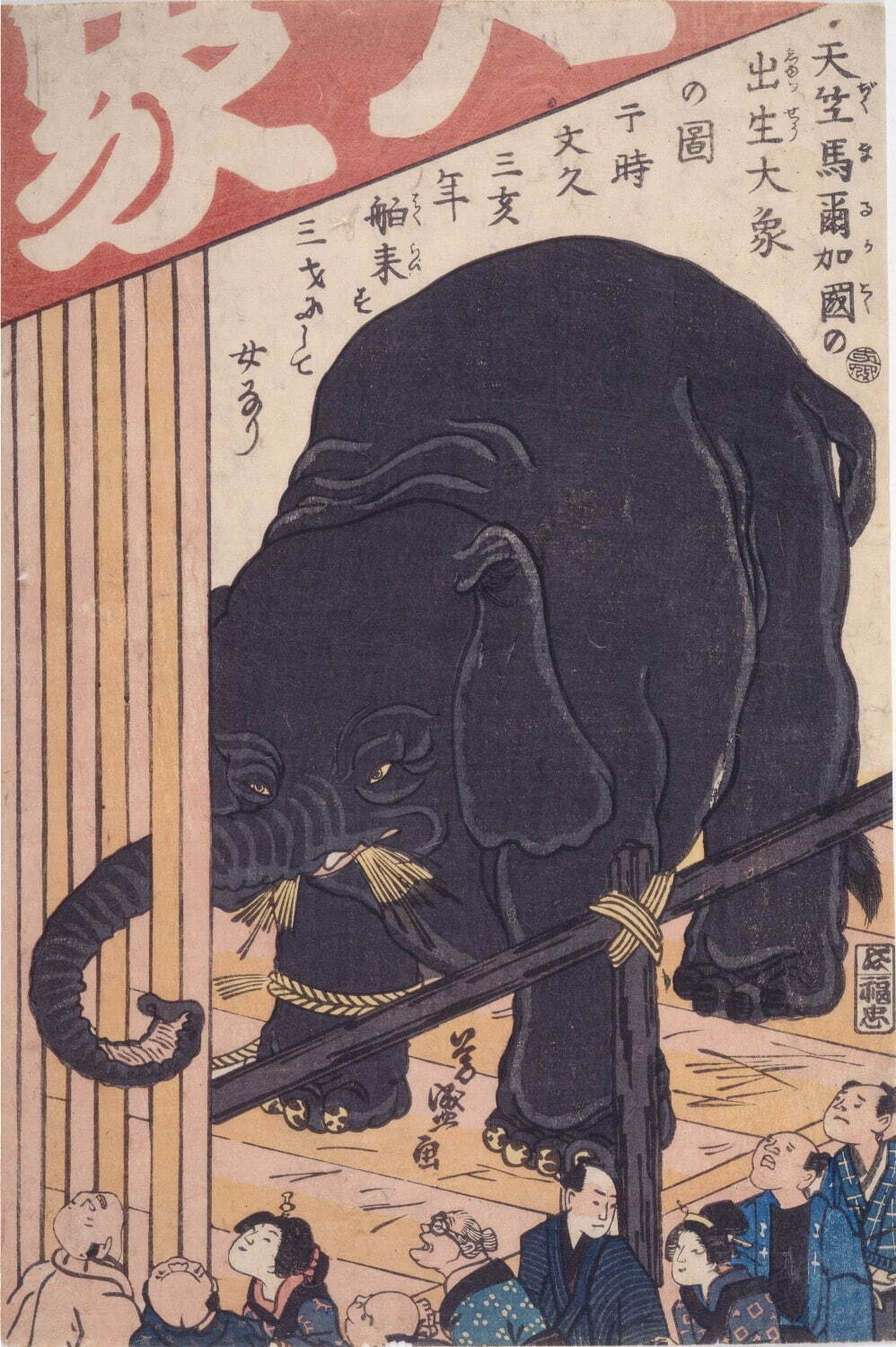 歌川芳盛画 《天竺馬爾加国の出生⼤象の図》 文久3年(1863年)
東京都江戸東京博物館蔵 ［後期展示］