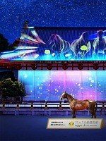 関西のゴールデンウィークおでかけ情報【2025年版】GW連休イベントや注目の観光・旅行スポット｜写真13