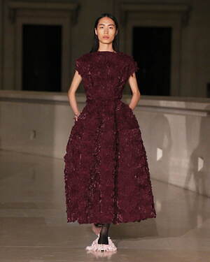 アーデム(ERDEM) 2025-26年秋冬ウィメンズコレクション  - 写真38