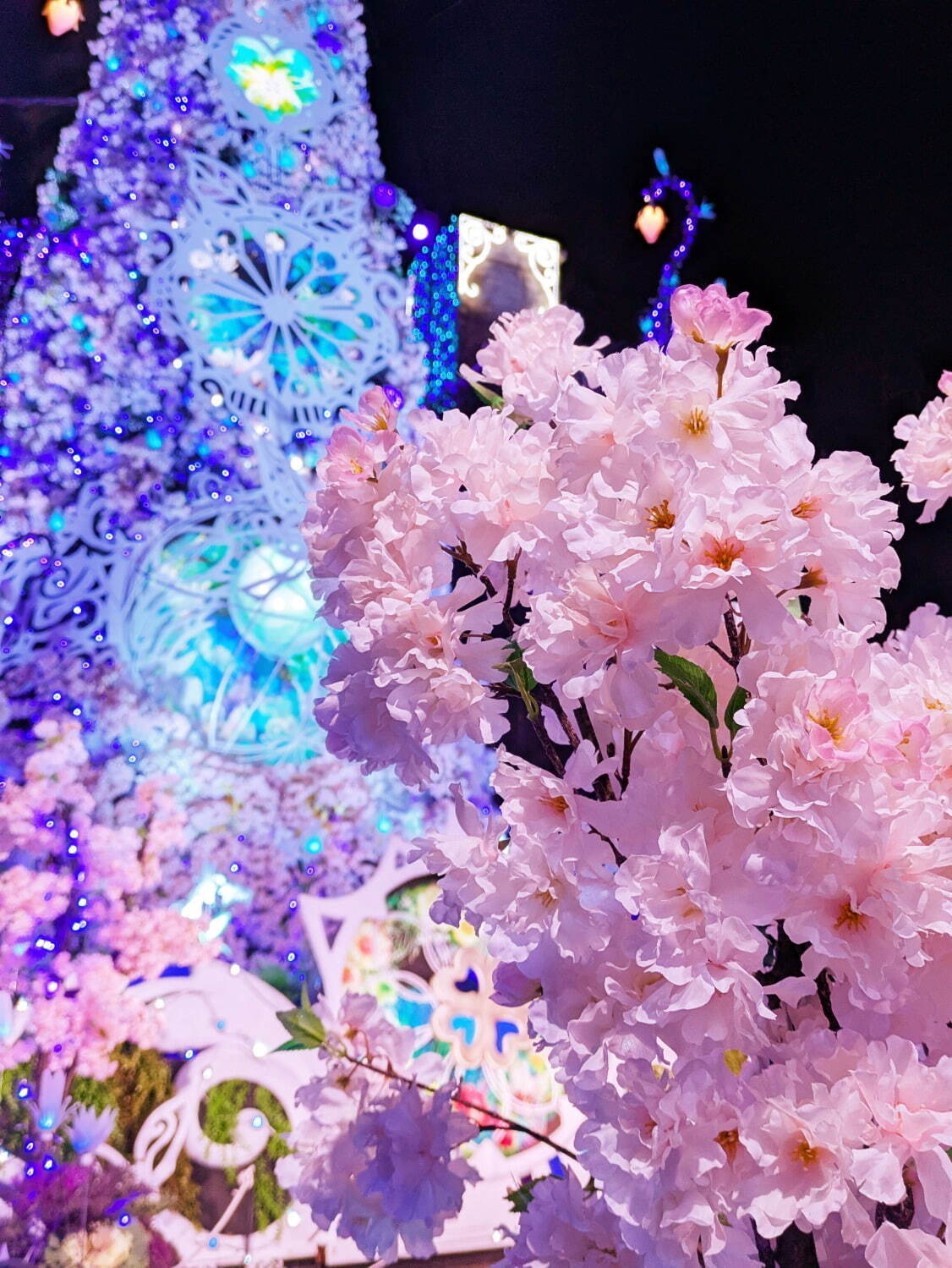 大阪ひらかたパークのイルミネーション「光の遊園地」が桜色に！ピンクに輝くツリー＆夜桜ライトアップ｜写真2