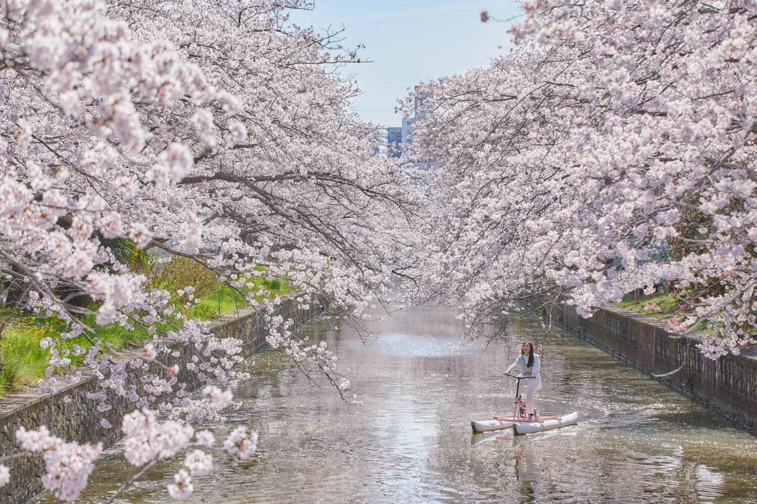 【栃木県】星野リゾート BEB5土浦「水上自転車」で桜花見
