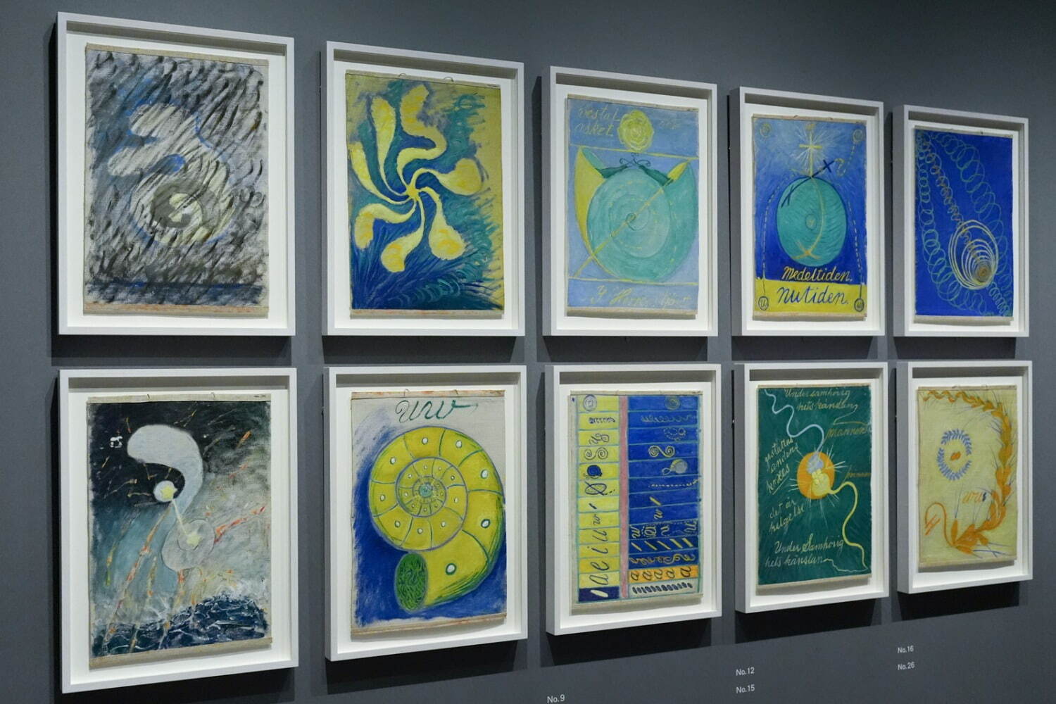 「ヒルマ・アフ・クリント展」展示風景 東京国立近代美術館 2025年