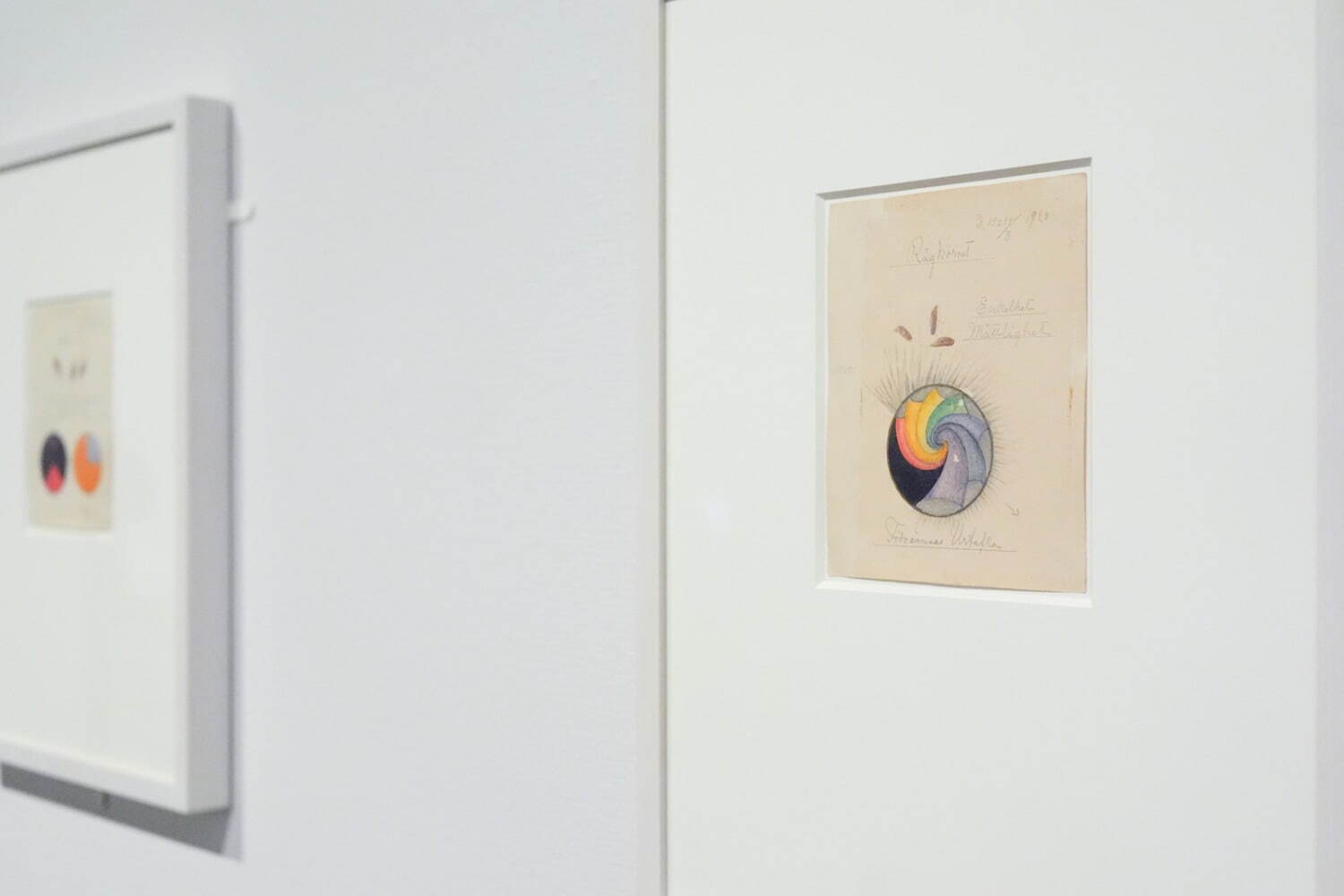 ヒルマ・アフ・クリント 《穀物についての作品：ライ麦》 1920年 ヒルマ・アフ・クリント財団所蔵