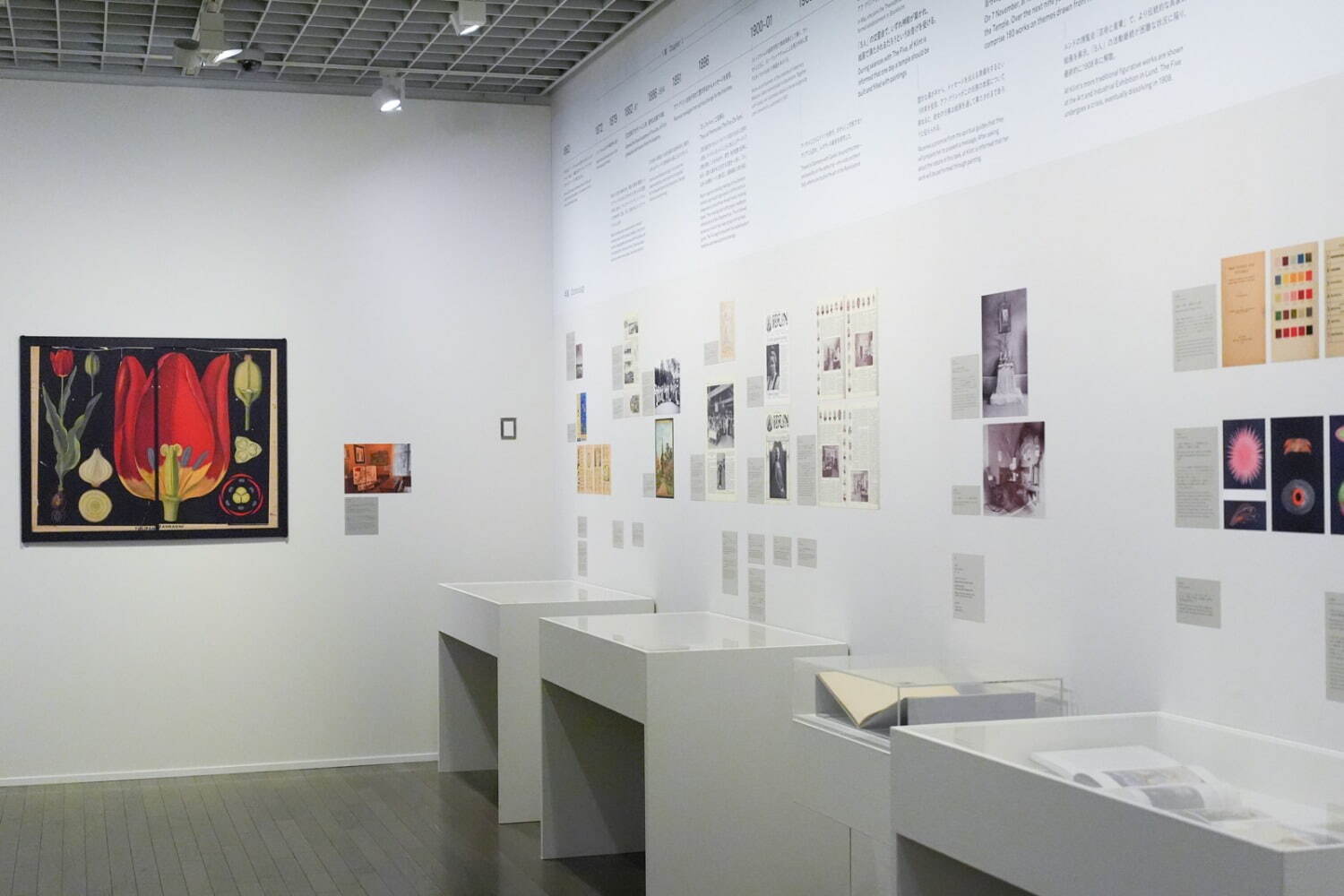 「ヒルマ・アフ・クリント展」展示風景 東京国立近代美術館 2025年