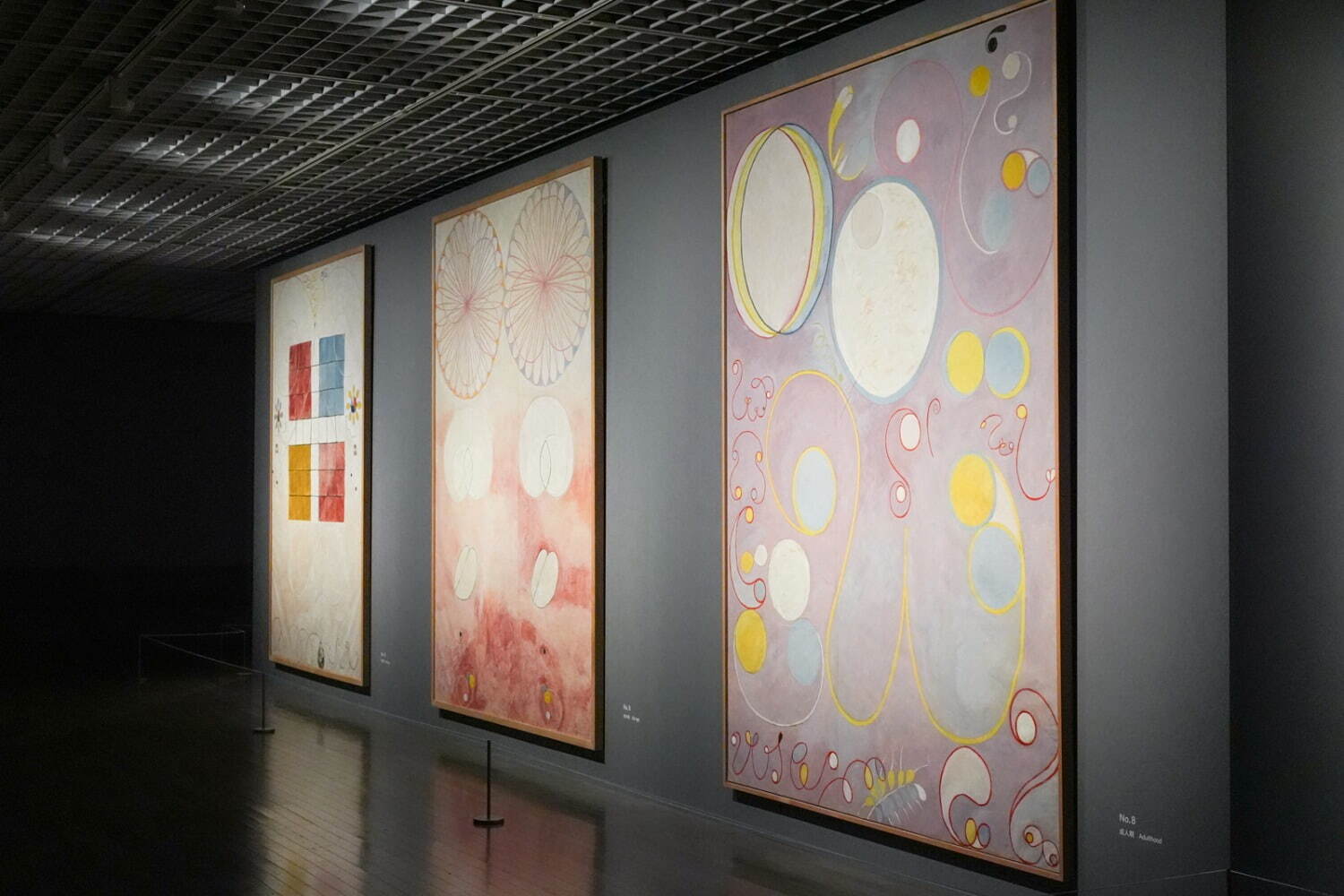 「ヒルマ・アフ・クリント展」展示風景 東京国立近代美術館 2025年