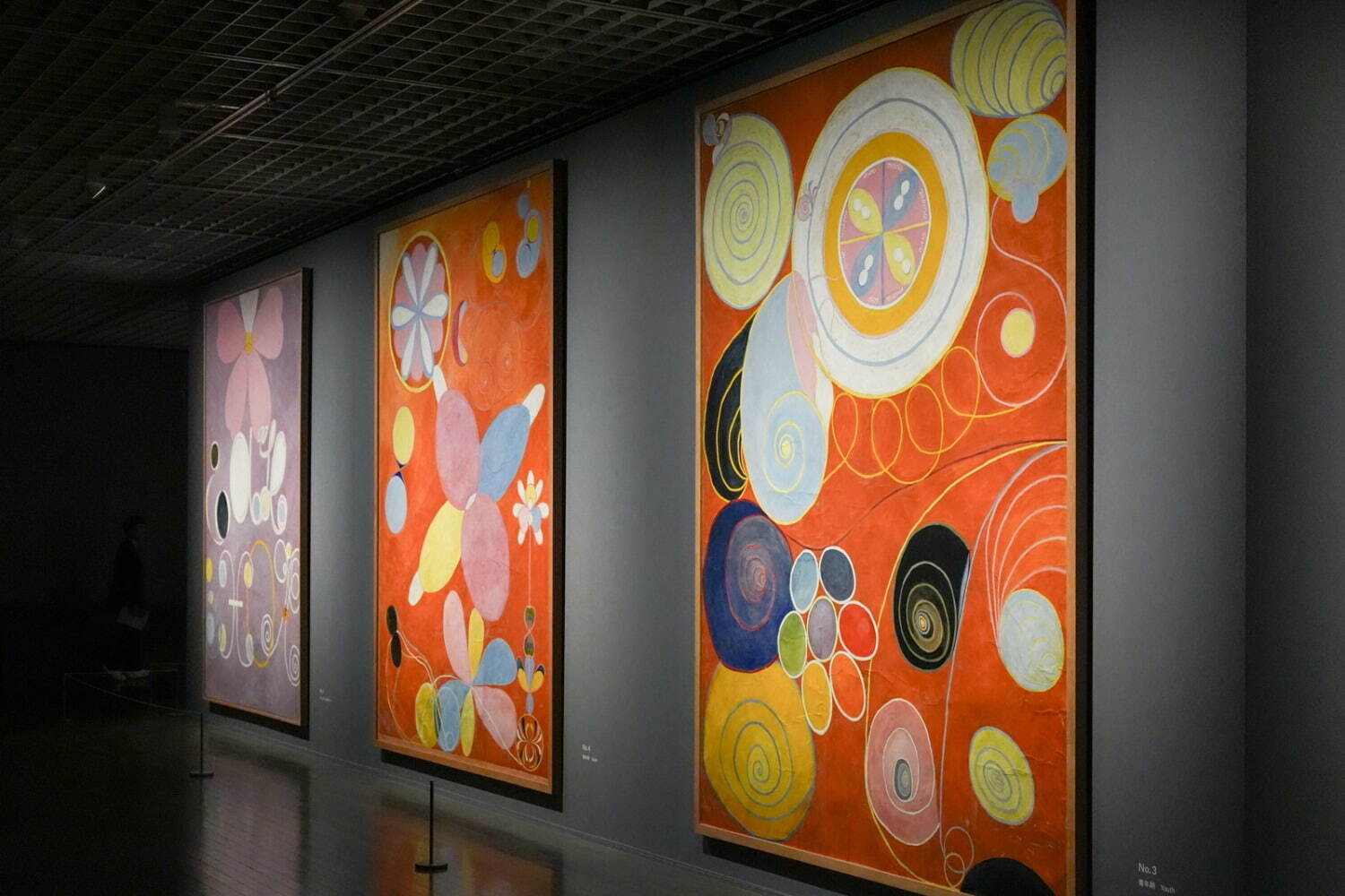 「ヒルマ・アフ・クリント展」展示風景 東京国立近代美術館 2025年