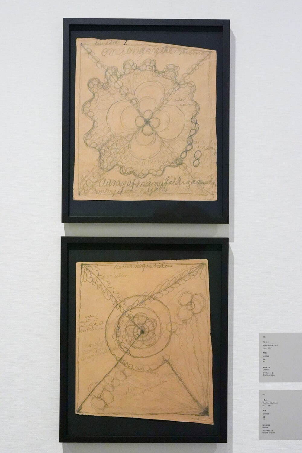 「5人」 《無題》 《無題》 ともに制作年不詳 ヒルマ・アフ・クリント財団蔵