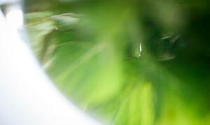 ワランス(WALANCE) 2025年春夏ウィメンズコレクション  - 写真35