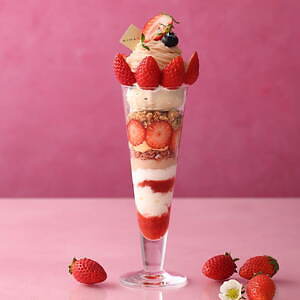 キハチ カフェ(KIHACHI CAFÉ) ナポレオンパイ｜写真3