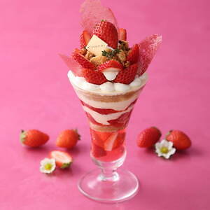 キハチ カフェ(KIHACHI CAFÉ) ナポレオンパイ｜写真1