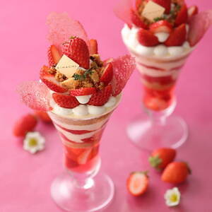 キハチ カフェ(KIHACHI CAFÉ) ナポレオンパイ｜写真13