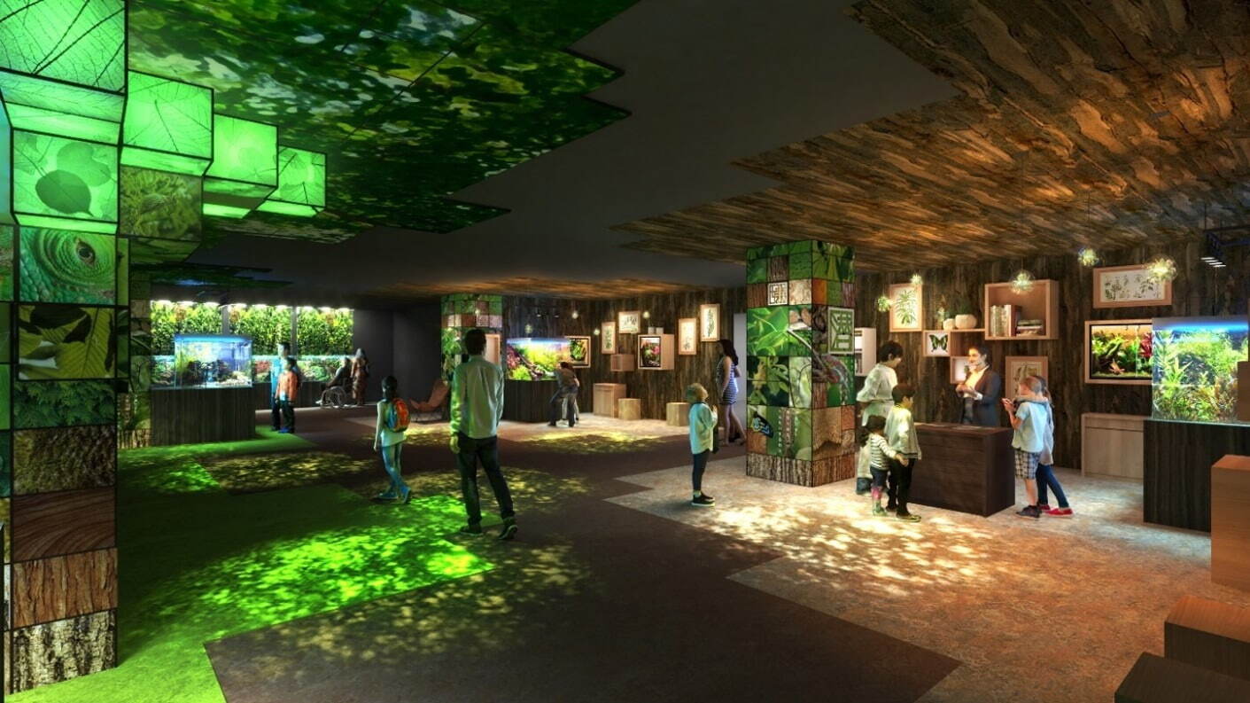 広島もとまち水族館「四季の舞台」イメージ