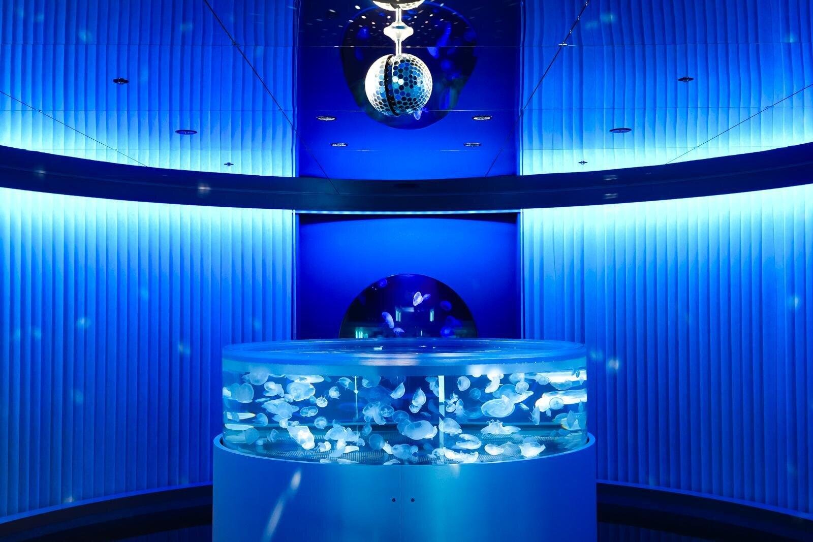 「Marine note 多様性のシーン」