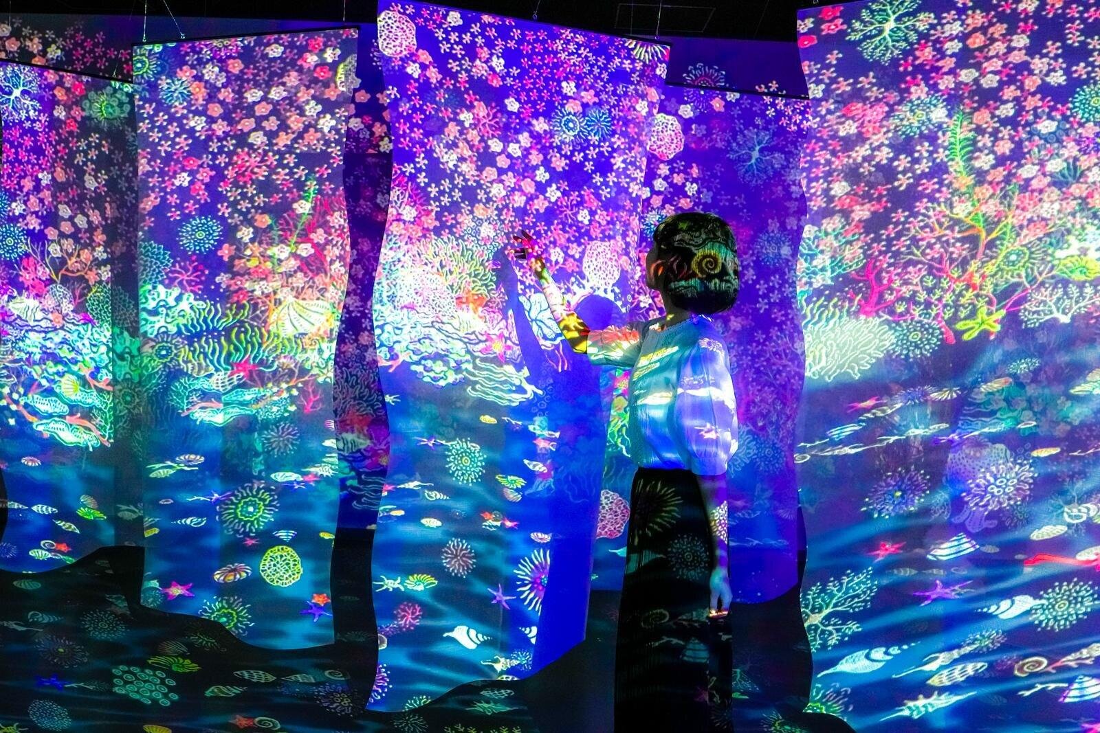 広島市唯一の水族館「広島もとまち水族館」が商業施設・パセーラに、気軽に立ち寄れる都市型水族館へ｜写真4