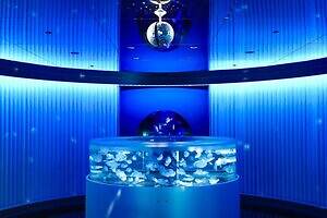 広島市唯一の水族館「広島もとまち水族館」が商業施設・パセーラに、気軽に立ち寄れる都市型水族館へ｜写真9