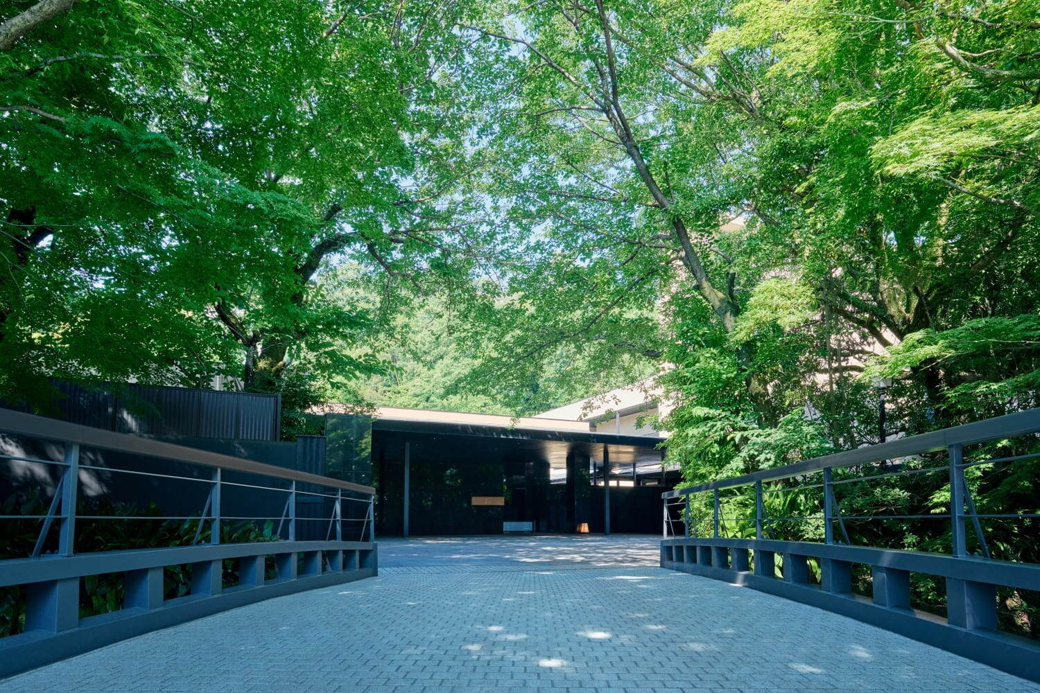 高級温泉旅館「ふふ 東京 銀座」“熱海から運んだ”天然温泉付き客室＆四季の食材楽しむ日本料理｜写真6