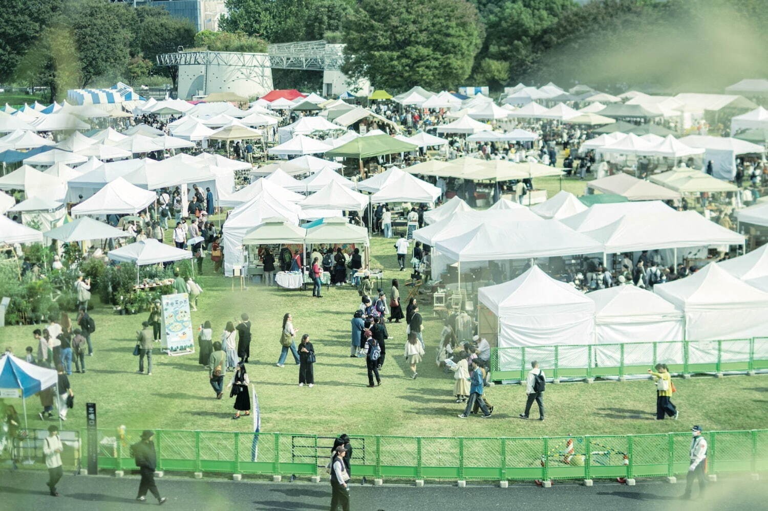 東京都内のおでかけイベント【2025年春】週末の日帰り旅行や春休みの観光におすすめの人気スポット