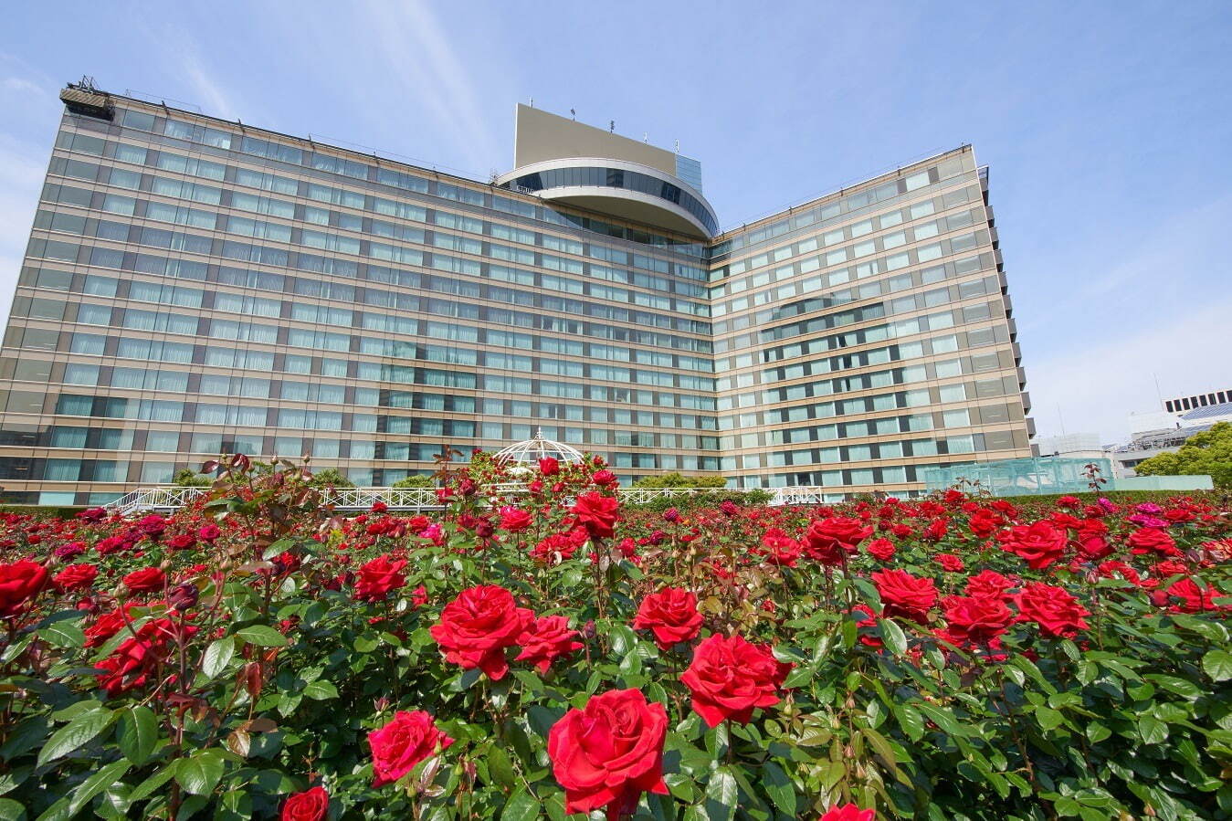 『ベルサイユのばら』宿泊プランがホテルニューオータニ(東京)で、薔薇装飾の“フランス風”客室｜写真2