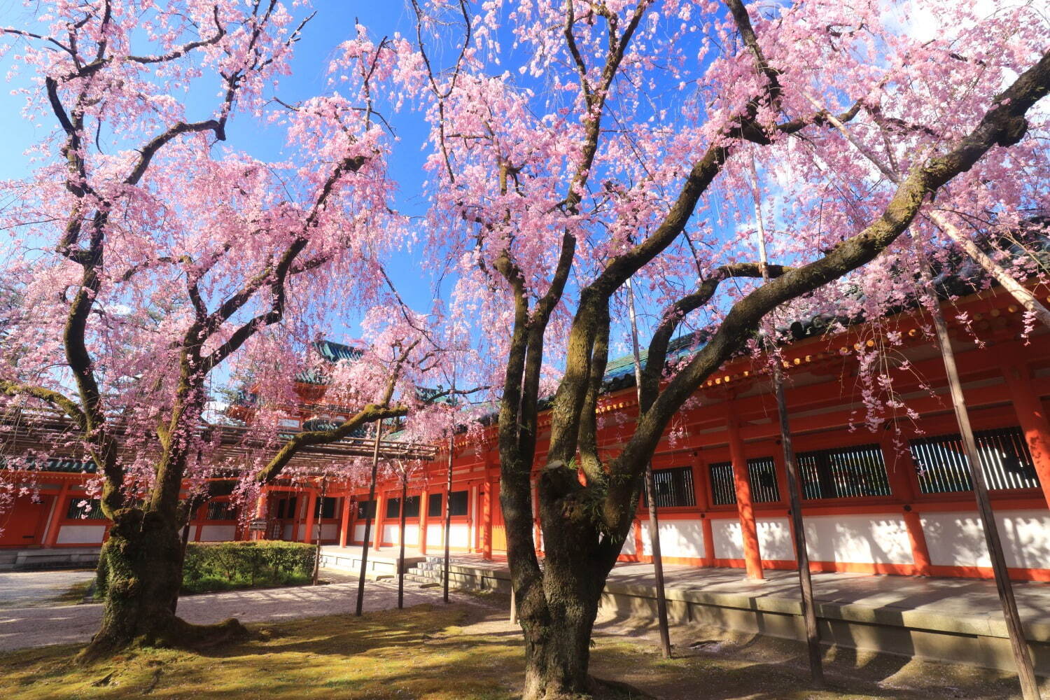 平安神宮神苑(非公開エリア)