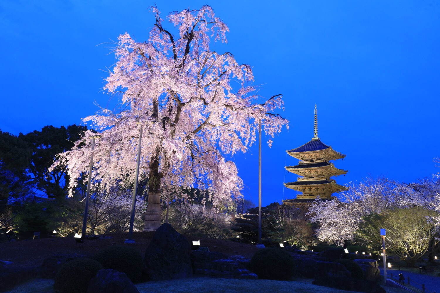 東寺