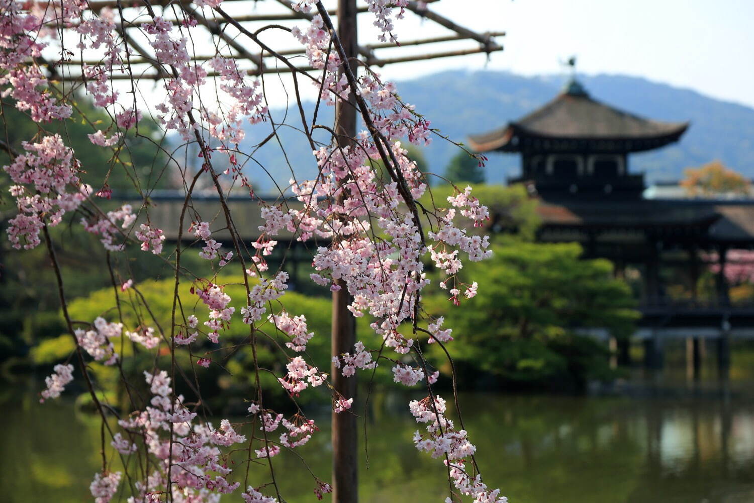 平安神宮神苑