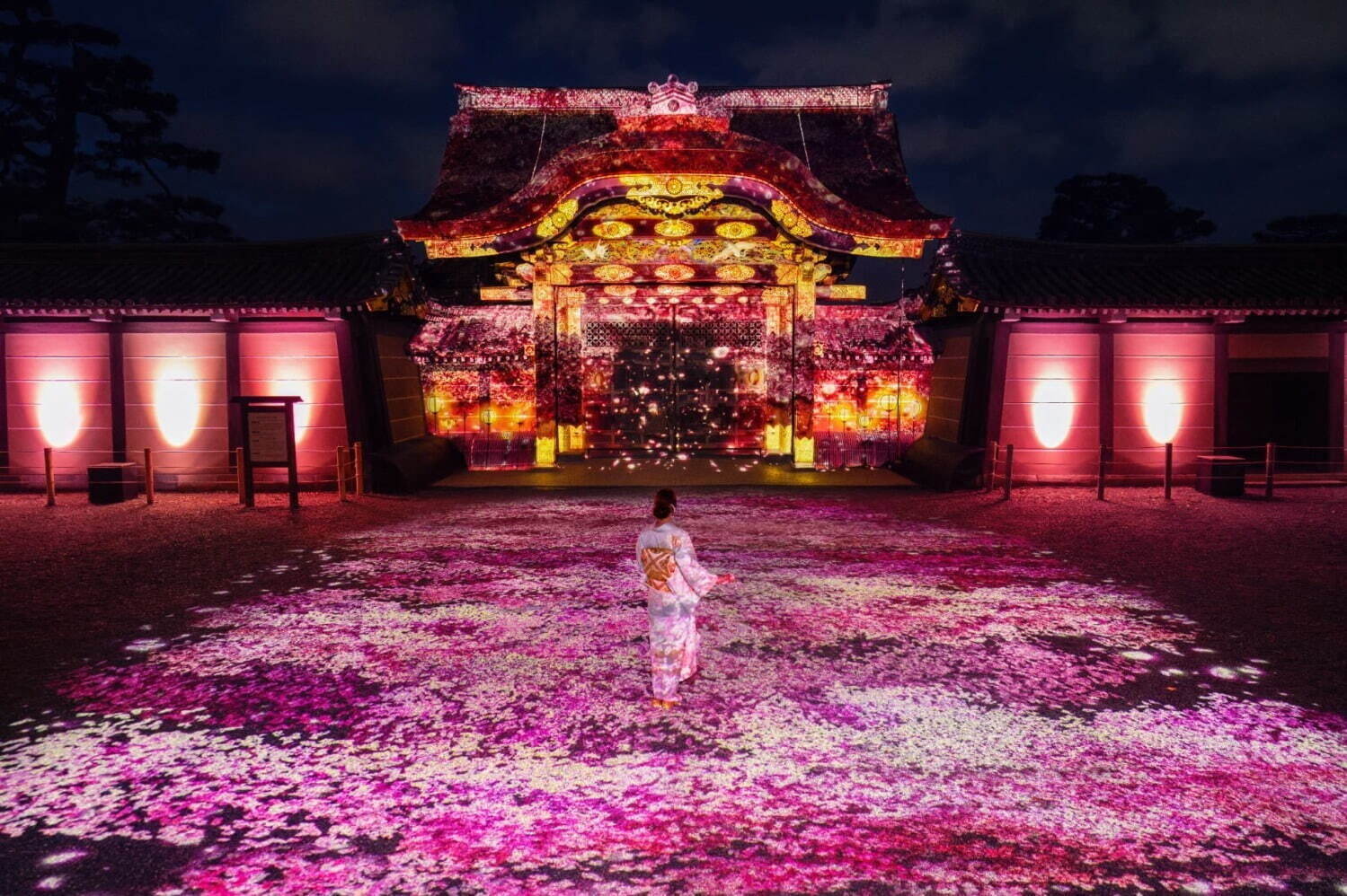 京都で花見を満喫！桜名所の開花時期に行きたい夜桜ライトアップ＆時間外特別拝観｜写真13