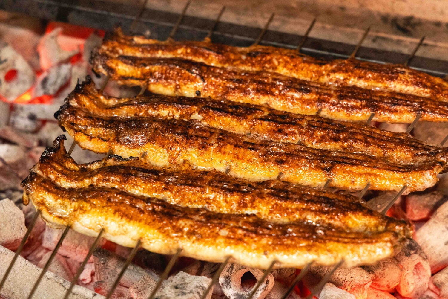 「炭焼 うな富士」名古屋発の鰻屋がグラングリーン大阪南館に、“ふわとろ特大うなぎ”のひつまぶしなど｜写真5