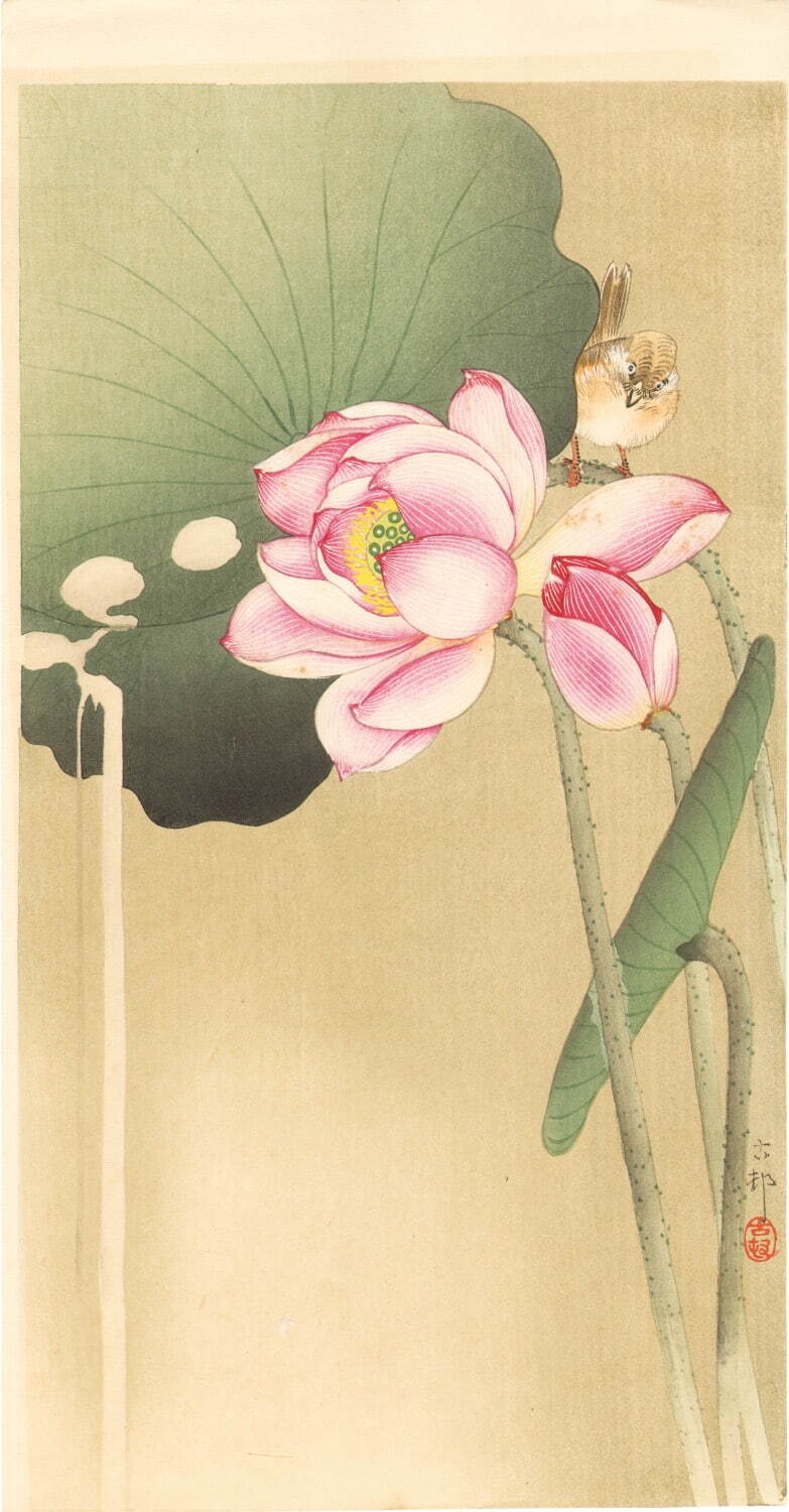 小原古邨 《蓮に雀》 個人蔵 ［前期展示］