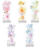 エッセンシャルの人気ヘアケアが数量限定パッケージに、NewJeansを村上隆がキャラクター化｜写真11