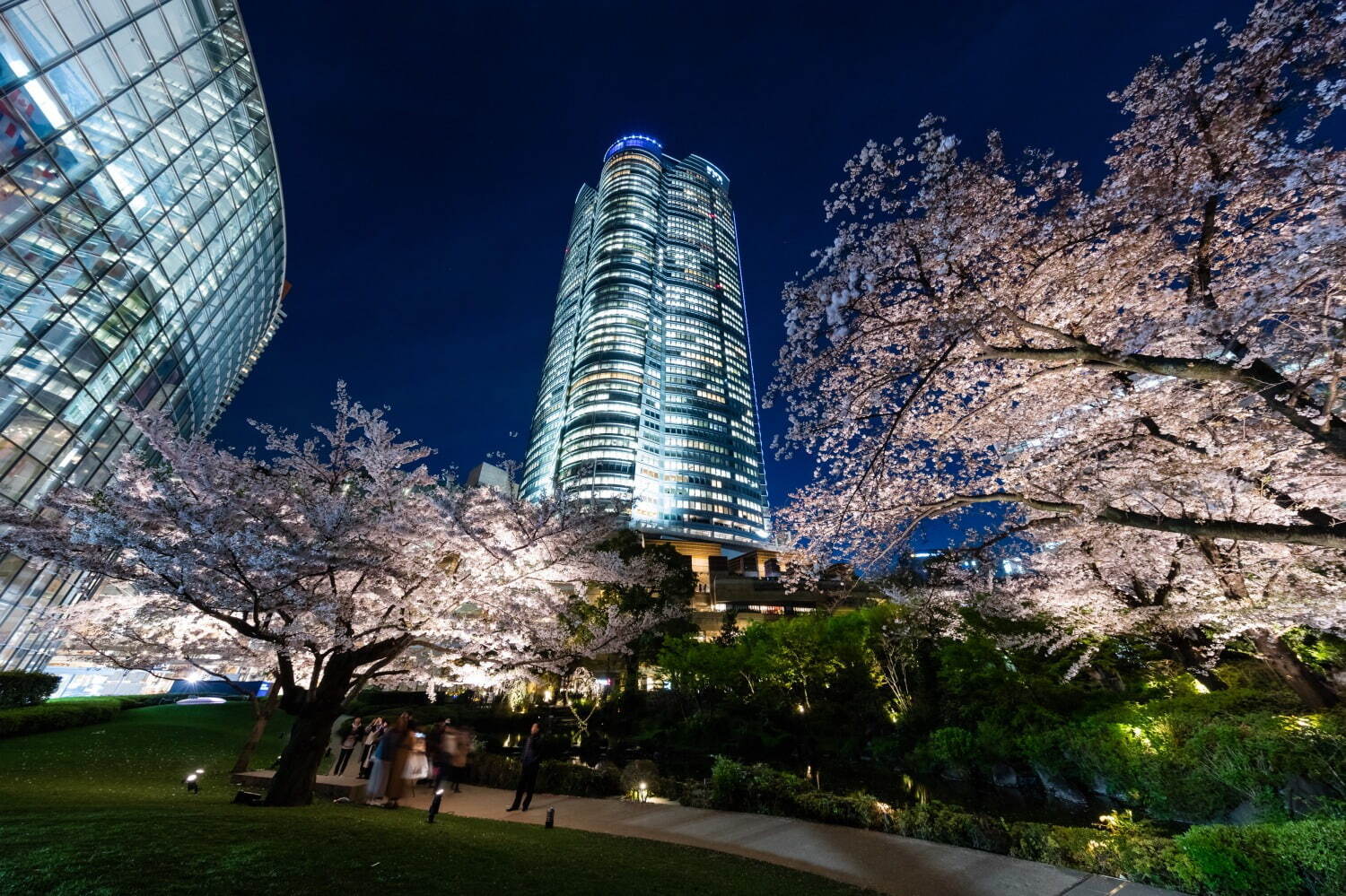 六本木ヒルズの花見イベント「春まつり 2025」日本庭園の夜桜ライトアップやレストラングルメ屋台｜写真2