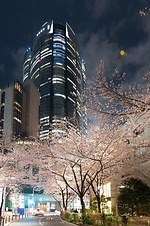 六本木ヒルズの花見イベント「春まつり 2025」日本庭園の夜桜ライトアップやレストラングルメ屋台｜写真1