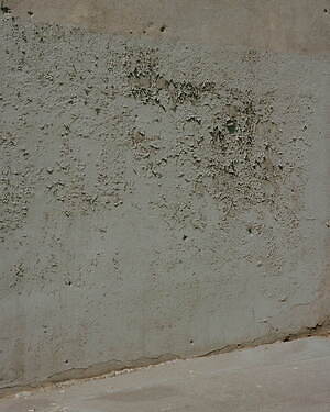 ユウイチ トヤマ.(YUICHI TOYAMA.) 2025年春夏ウィメンズ&メンズコレクション  - 写真15