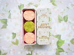 ケイタ マルヤマの人気花柄クッキー缶がハーフサイズに、桜＆抹茶クッキー入り“満開の桜”デザインなど｜写真4