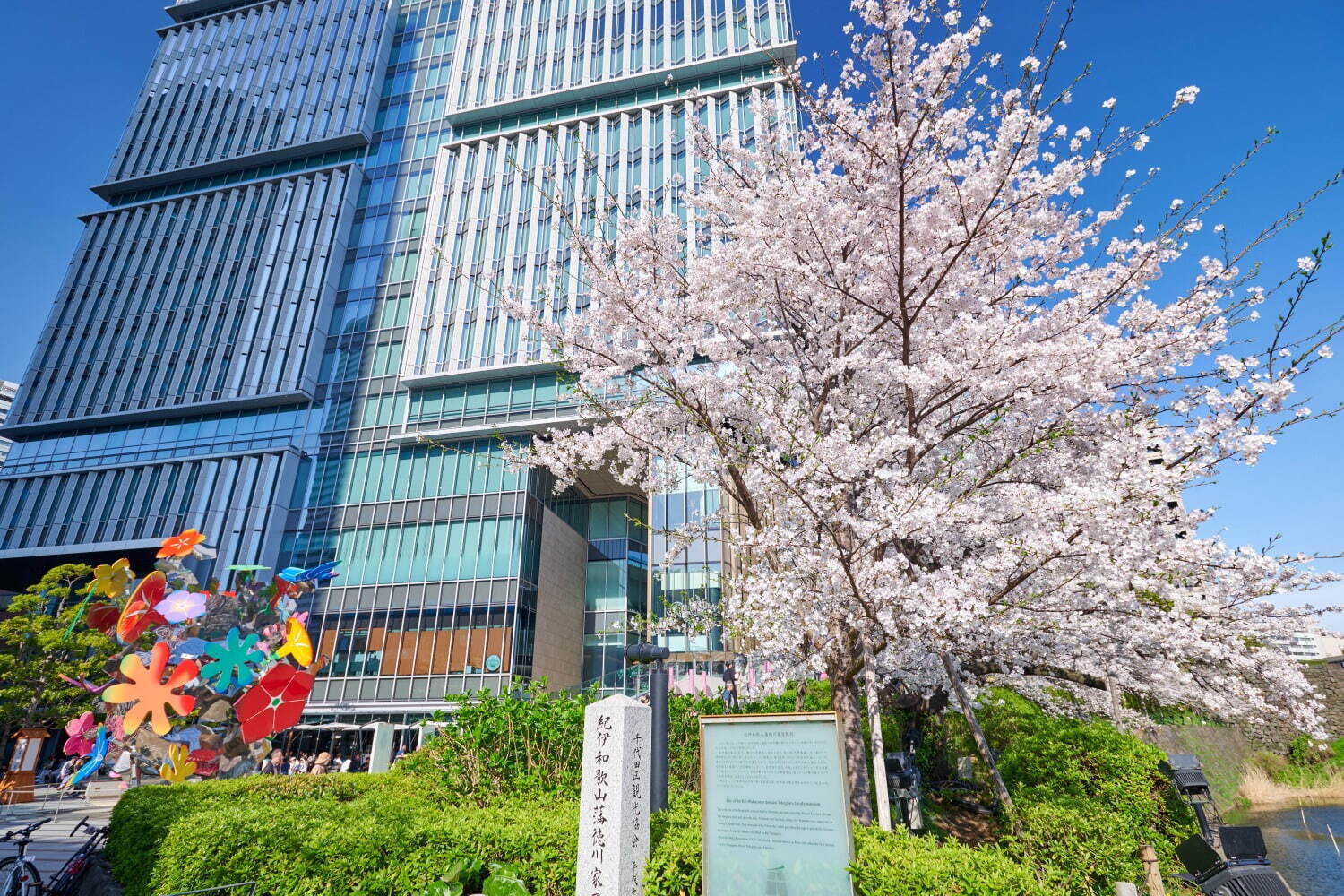 "桜の名所”東京ガーデンテラス紀尾井町の春イベント、満開の夜桜ライトアップや花見スイーツなど｜写真52