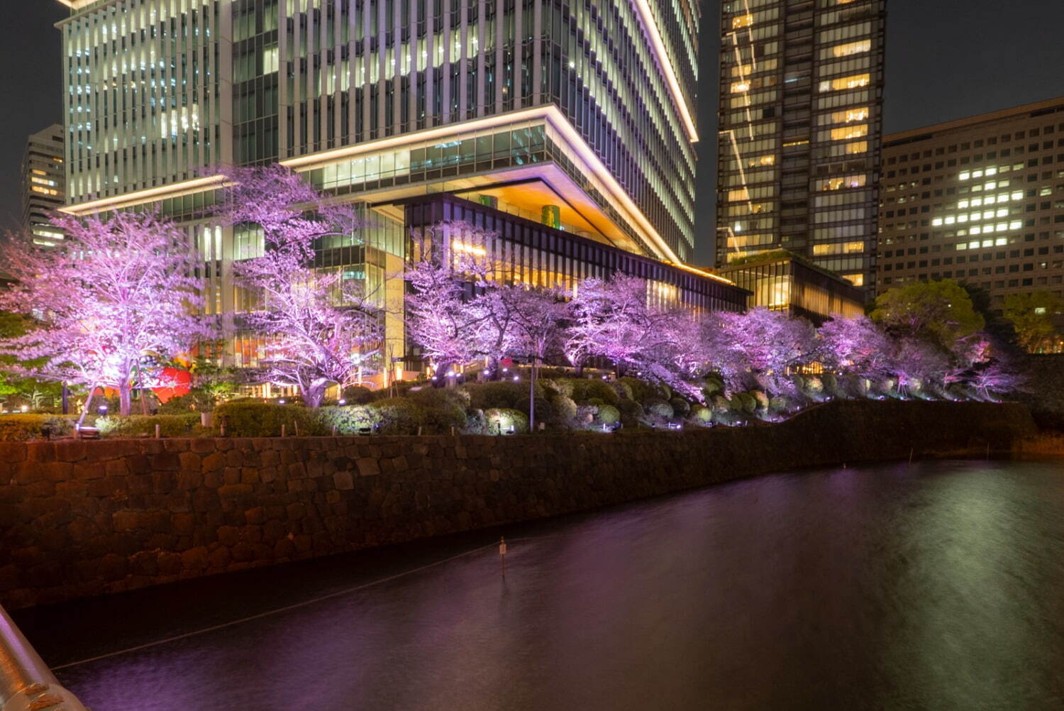 "桜の名所”東京ガーデンテラス紀尾井町の春イベント、満開の夜桜ライトアップや花見スイーツなど｜写真47