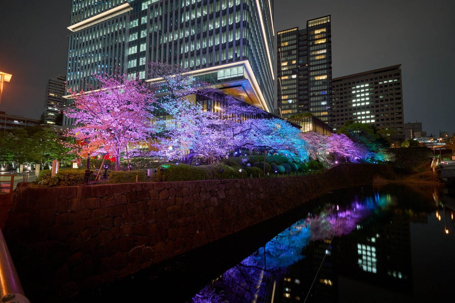 "桜の名所”東京ガーデンテラス紀尾井町の春イベント、満開の夜桜ライトアップや花見スイーツなど｜写真54