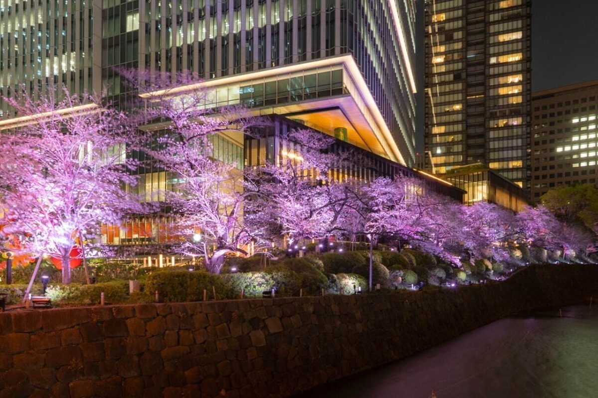 "桜の名所”東京ガーデンテラス紀尾井町の春イベント、満開の夜桜ライトアップや花見スイーツなど
