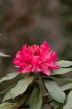 "桜の名所”東京ガーデンテラス紀尾井町の春イベント、満開の夜桜ライトアップや花見スイーツなど｜写真33