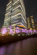 "桜の名所”東京ガーデンテラス紀尾井町の春イベント、満開の夜桜ライトアップや花見スイーツなど｜写真48