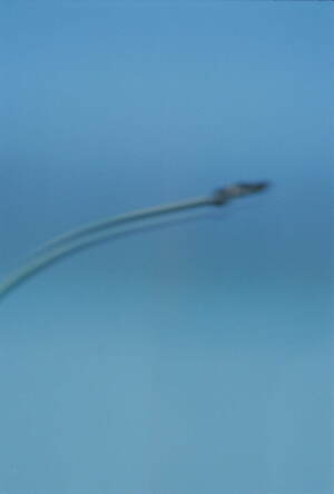 レイ ビームス(Ray BEAMS) 2024年春夏ウィメンズコレクション  - 写真30