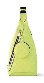 ルイ・ヴィトン(LOUIS VUITTON) タイガラマ｜写真7