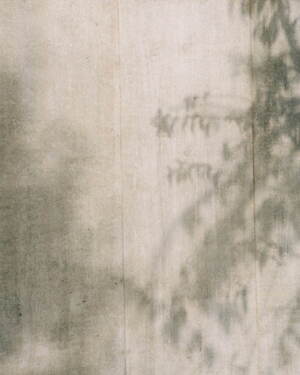 ザ・ノース・フェイス パープルレーベル(THE NORTH FACE PURPLE LABEL) 2025年春夏ウィメンズ&メンズコレクション  - 写真34