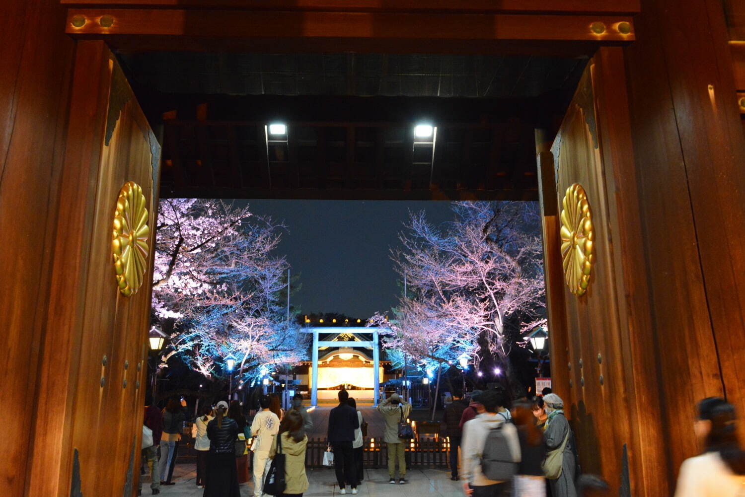 東京の桜名所「靖国神社」約500本が開花する花見スポット、キッチンカー出店＆夜桜ライトアップ｜写真4