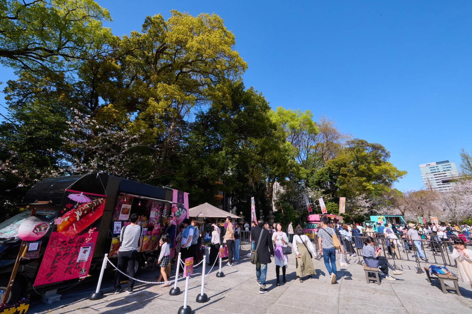 東京の桜名所「靖国神社」約500本が開花する花見スポット、キッチンカー出店＆夜桜ライトアップ｜写真2