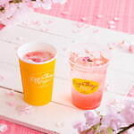 エッグスンシングス(Eggs 'n Things) 桜ブロッサムパンケーキ｜写真5